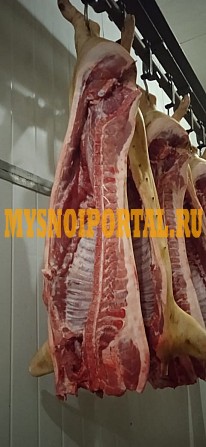 Продаю Туши свиные н/к, Охл/Зам, категория - I (беконная) в Рязани Рязань - изображение 1