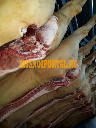 Полутуши Свиные МПК Турмясово, н/к, охл, категория - I (беконная), II (мясная – молодняк), III (жирная), IV (промышленная переработка) в Мичуринске Мичуринск - изображение 1