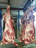 Продаю Полутуши Говяжьи РФ, ГОСТ, HEREFORD, н/к,  зам,в Казани  доставка из г.Казань