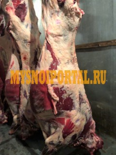 Продаю Полутуши Говяжьи РФ, ГОСТ, HEREFORD, н/к, зам, в Казани Казань - изображение 1