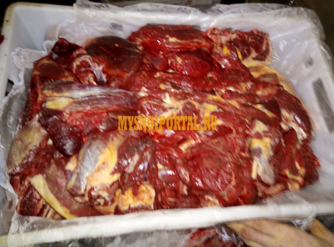 Продажа: Передняя часть конины Халяль, б/к, Охл/Зам, в Нижнем Новгороде Нижний Новгород - изображение 1