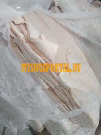 Продаю Шпик свиной Хребтовый, замороженная(ое) в Новосибирске Новосибирск - изображение 1