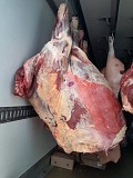 Продаю Полутуши Говяжьи РФ, ГОСТ, Халяль, н/к,  Охл/Зам,в Москве  доставка из г.Москва