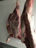 Продаю Полутуши Говяжьи РФ, ГОСТ, Халяль, н/к,  Охл/Зам,в Москве  доставка из г.Москва