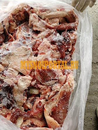 Продаю Жир говяжий -сырец , в Смоленске Смоленск - изображение 1