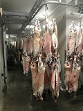 Продажа: Туши Бараньи (Ягнятины) , н/к, зам, в Москве доставка из г.Москва