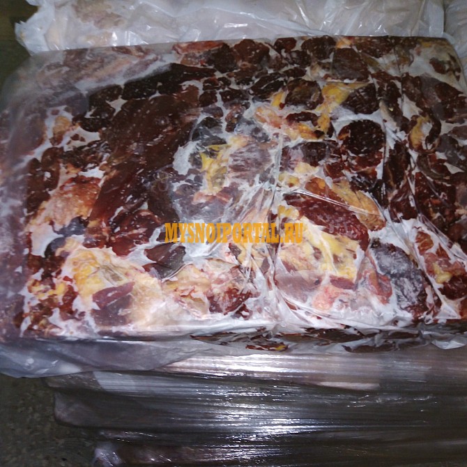 Продажа: Передняя часть конины Халяль, б/к, зам, в Москве Москва - изображение 1