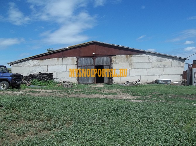 Действующее помещение фермы Волгоград - изображение 1