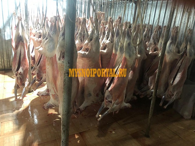 Продажа: Тримминг Бараний , н/к, Охл/Зам, в Москве Москва - изображение 1