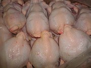 Куриные Тушки ГОСТ н/к, зам,  от 120 руб. в Москве  Москва