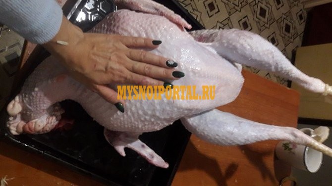 Тушки индейки ГОСТ, н/к, охл, самовывоз в Солуно-Дмитриевском Солуно-Дмитриевское - изображение 1