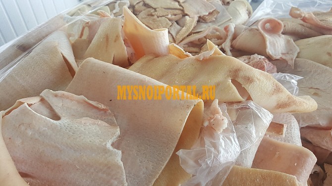 Продаю Шкура свиные Полярка , зам, от 100 кг, от 1 тонны в Краснодаре Краснодар - изображение 1