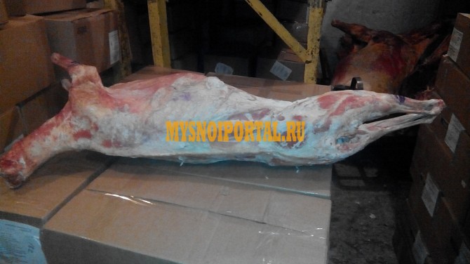 Туши Бараньи (Ягнятины) Мясные , н/к, в Барнауле Барнаул - изображение 1