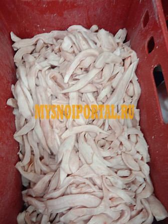 Продаю обрезь Шпика Хребтового, зам в Москве Москва - изображение 1