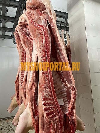 Продаю Полутуши Свиные н/к, охл, категория - II (мясная – молодняк) в Мелеузе Мелеуз - изображение 1