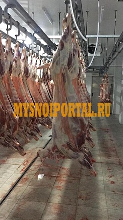 Продажа: Туши Бараньи (Ягнятины) , н/к, зам, в Красноярске Красноярск - изображение 1