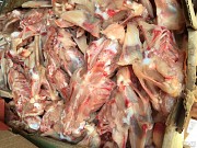 Продаю Куриные каркасы Охл/Зам, от 100 кг в Санкт-Петербурге  Санкт-Петербург