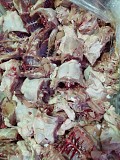 Продаю Спинки куриные зам, Вкуснотут от 100 кг в Санкт-Петербурге  Санкт-Петербург