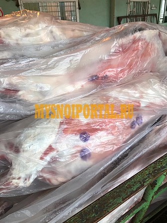 Продажа: Туши Бараньи (Ягнятины) , н/к, зам, в Перми Пермь - изображение 1