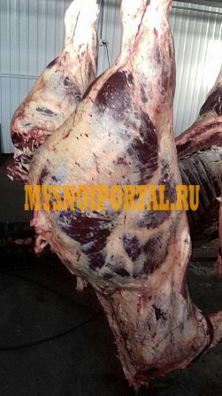 Продаю Полутуши Говяжьи ГОСТ, н/к, зам, в Омске Омск - изображение 1