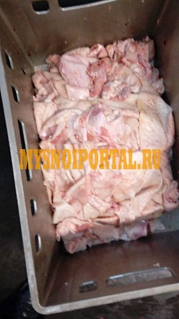 Мясо Индейки другое ГОСТ, б/к, зам, самовывоз в Краснодаре Краснодар - изображение 1