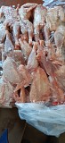 Куриные Тушки ГОСТ н/к, Охл/Зам,  от 66 руб. в Витебске  Витебск