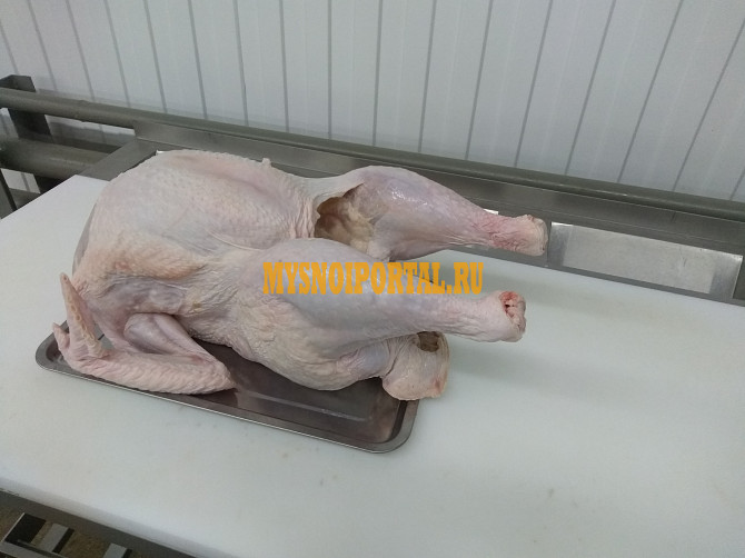 Куплю Куриные Тушки н/к, зам, в Москве Москва - изображение 1