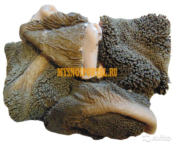 Продаю Желудки говяжьи зам, от 10 кг, от 20 кг, от 100 кг в Екатеринбурге Екатеринбург - изображение 1