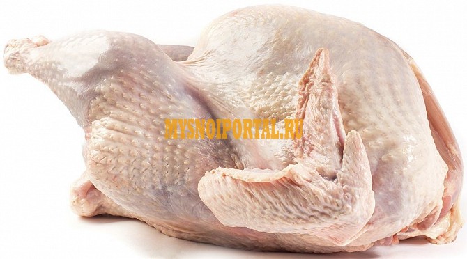 Тушки индейки Челябинск - изображение 1