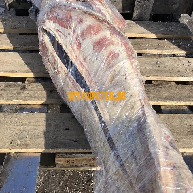 Продажа: Туши Бараньи (Ягнятины) Меринос , н/к, зам, во Владивостоке Владивосток - изображение 1