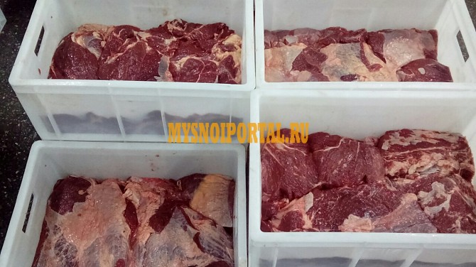 Продаю Четверти говяжьи ГОСТ, HEREFORD, н/к, зам, во Владивостоке Владивосток - изображение 1