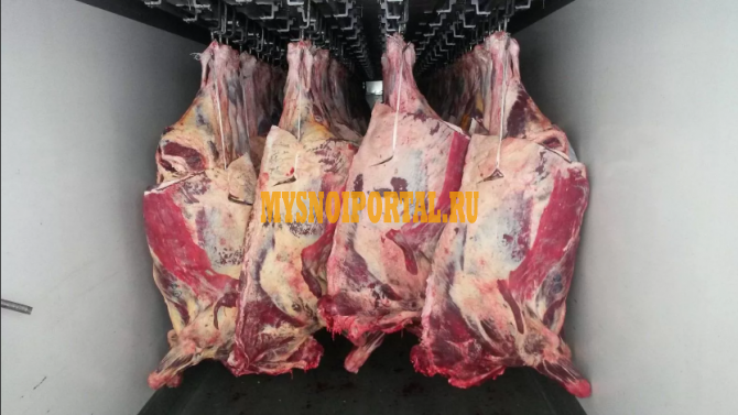 Продаю Полутуши Говяжьи ГОСТ, н/к, зам, в Ханты-Мансийске Ханты-Мансийск - изображение 1