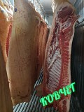 Продаю Мясо свинины Ковчег, б/к, Охл/Зам, категория - I (беконная), III (жирная), IV (промышленная переработка) в Егорьевске  доставка из г.Егорьевск