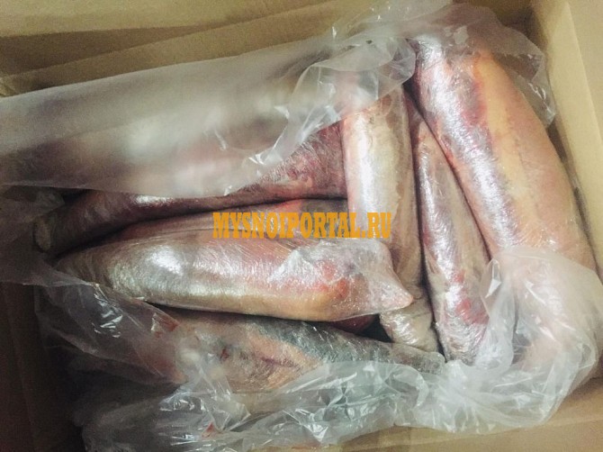 Продаю Языки говяжьи РФ, ГОСТ, ТУ зам, от 100 кг, от 20 тонн в Алматы Алматы - изображение 1