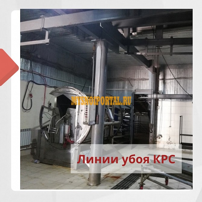 Продаю Линии для убоя скота Новый в Волгограде Волгоград - изображение 1