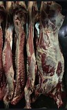 Продаю Полутуши Говяжьи коров  ГОСТ, н/к,  зам, в Красноярске  Красноярск