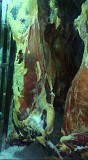 Продаю Полутуши Говяжьи коров  ГОСТ, н/к,  зам, в Красноярске  Красноярск