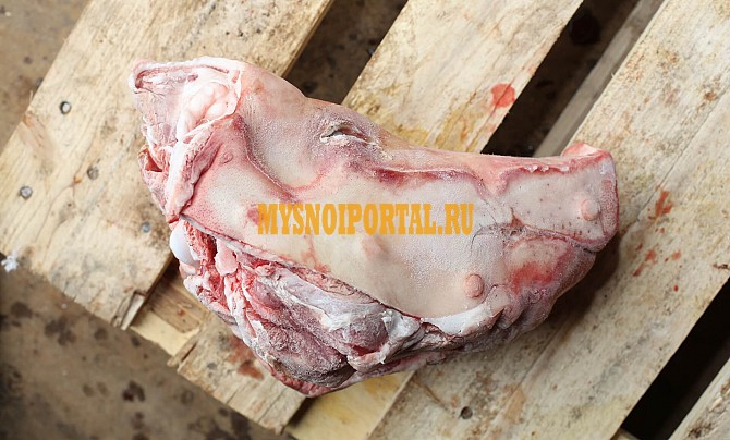 Продаю Головы свиные ТД Отрада , РФ зам, от 100 кг, от 1 тонны в Липецке Липецк - изображение 1