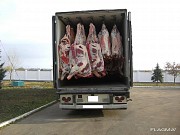 Продаю Полутуши Говяжьи коров, бычков, телят  ГОСТ, н/к,  зам, в Алматы  доставка из г.Алматы