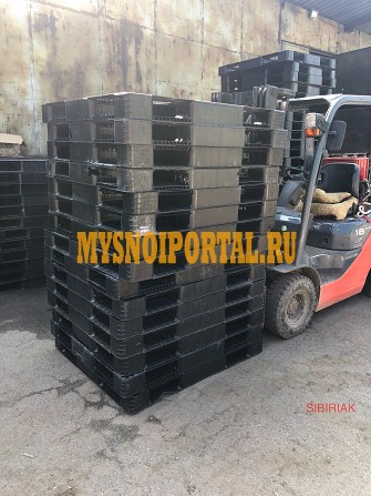 Куплю пластиковые поддоны Новосибирск - изображение 1