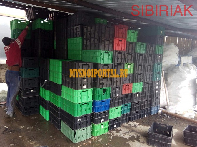 Купим ящики вино-водочные, молочные, мясные Новосибирск - изображение 1