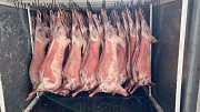 Продажа: Туши Бараньи (Ягнятины)  Меринос , н/к,  охл, в Москве  доставка из г.Москва