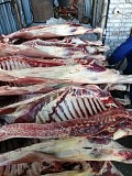 Продаю Полутуши Говяжьи коров, бычков, телят  ГОСТ, н/к,  зам, в Барнауле  Барнаул