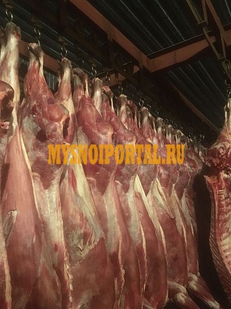 Продаю Полутуши Говяжьи коров, бычков, телят ГОСТ, н/к, зам, в Барнауле Барнаул - изображение 1