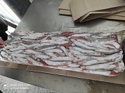 Продажа: Мойва в Кемерово доставка из г.Кемерово