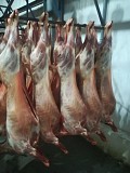 Продажа: Полутуши Баранины , н/к,  зам, в Санкт-Петербурге  Санкт-Петербург