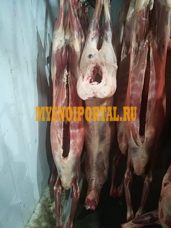 Продажа: Полутуши Баранины , н/к, зам, в Санкт-Петербурге Санкт-Петербург - изображение 1