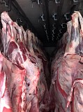 Продаю Полутуши Говяжьи коров, бычков, телят  ГОСТ, н/к,  охл, в Санкт-Петербурге  Санкт-Петербург