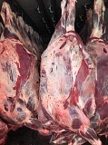 Продаю Полутуши Говяжьи коров, бычков, телят  ГОСТ, н/к,  охл, в Санкт-Петербурге  Санкт-Петербург