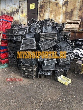 Покупаем пластиковый фруктово-овощной ящик Новосибирск - изображение 1